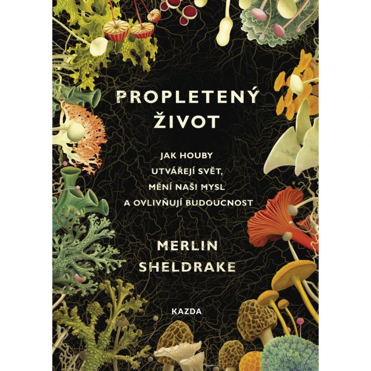 zobrazit detail snímku: Obal knihy Propletený život 
