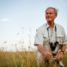 Pravidla Serengeti.
