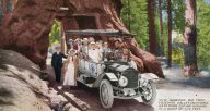 Kuriozity: Průjezdné stromy v kalifornských národních parcích: V kalifornských národních parcích je k vidění…