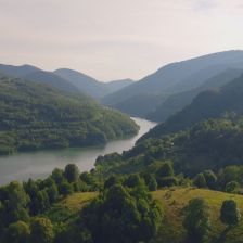 Evropská divočina.