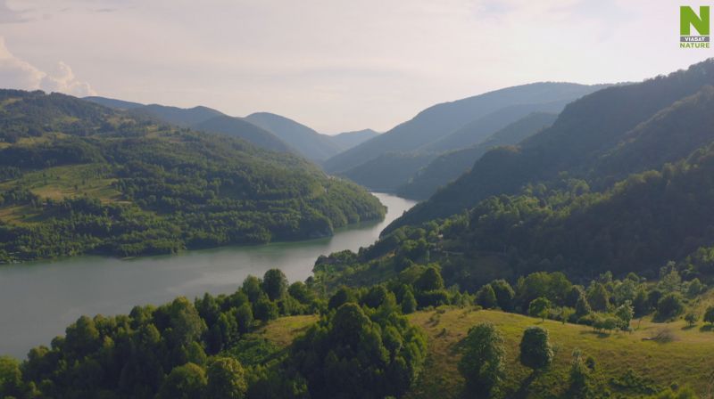 Evropská divočina. - klikněte pro zobrazení detailu