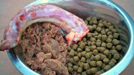 Podrobný pohled na vybraná česká i zahraniční krmiva pro psy: Pokud máte psa, jistě pro něj chcete jen to…