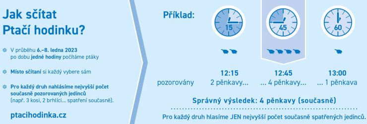 zobrazit detail snímku: Jak sčítat při Ptačí hodince?
