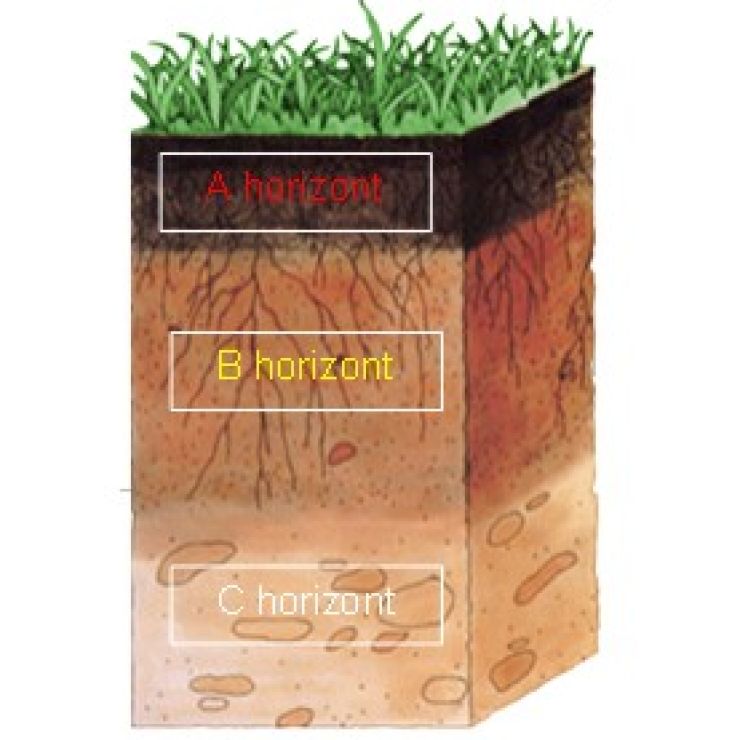 zobrazit detail snímku: schéma půdních horizontů