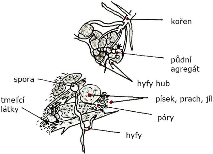 zobrazit detail snímku: Půdní agregáty