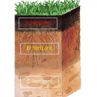 schéma půdních horizontů - klikněte pro zobrazení detailu