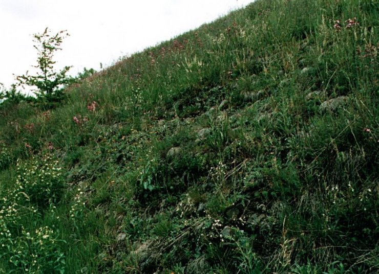 zobrazit detail snímku: Rašovec