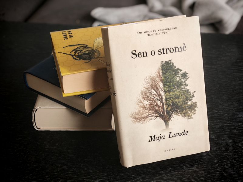 Kniha Sen o stromě - klikněte pro zobrazení detailu