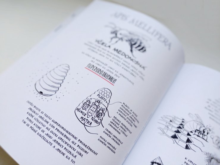 zobrazit detail snímku: kapitola včely
