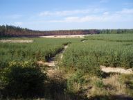 Rekultivace pískoven: Na wikipedii se můžeme dočíst, že rekultivace…