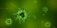 Retroviry prý na imunitní systémy útočí už téměř půl miliardy let: Nový výzkum naznačuje, že retroviry pocházejí…