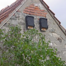 Netopýří budka na  zavěšení na strom nebo štít domu pro letní úkryt