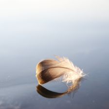 Černý led na Novomlýnských nádržích leden 2026