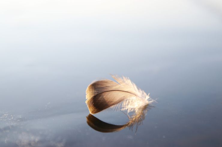 zobrazit detail snímku: Černý led na Novomlýnských nádržích leden 2026