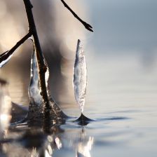 Černý led na Novomlýnských nádržích leden 2026