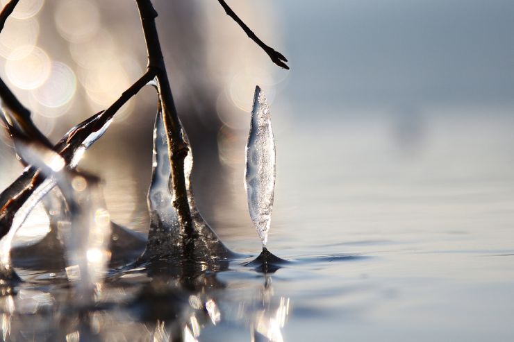 zobrazit detail snímku: Černý led na Novomlýnských nádržích leden 2026