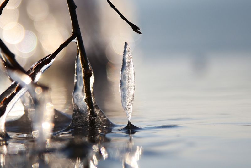 Černý led na Novomlýnských nádržích leden 2026 - klikněte pro zobrazení detailu