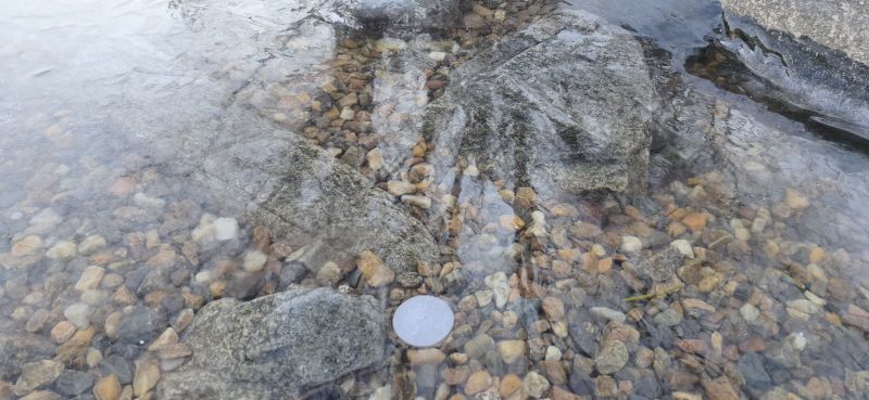 Černý led na Novomlýnských nádržích leden 2026 - klikněte pro zobrazení detailu