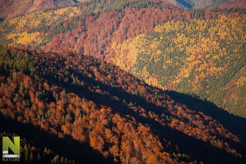 Divoké Rumunsko - klikněte pro zobrazení detailu