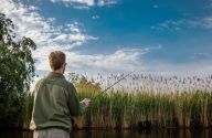 Chcete se stát rybářem? Přečtěte si, jak je to s rybářským lístkem a povolenkami: V posledních několika letech roste popularita…