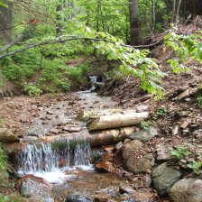 Krkonoše - Ryzí potok