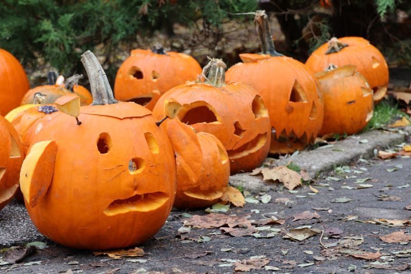 Dýně - klikněte pro zobrazení detailu Dýně - klikněte pro zobrazení detailu