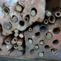 Hmyzí domeček pro včelky samotářky 1 - klikněte pro zobrazení detailu