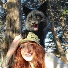 Mikayla Raines a zachráněná liška ze SaveAFox.