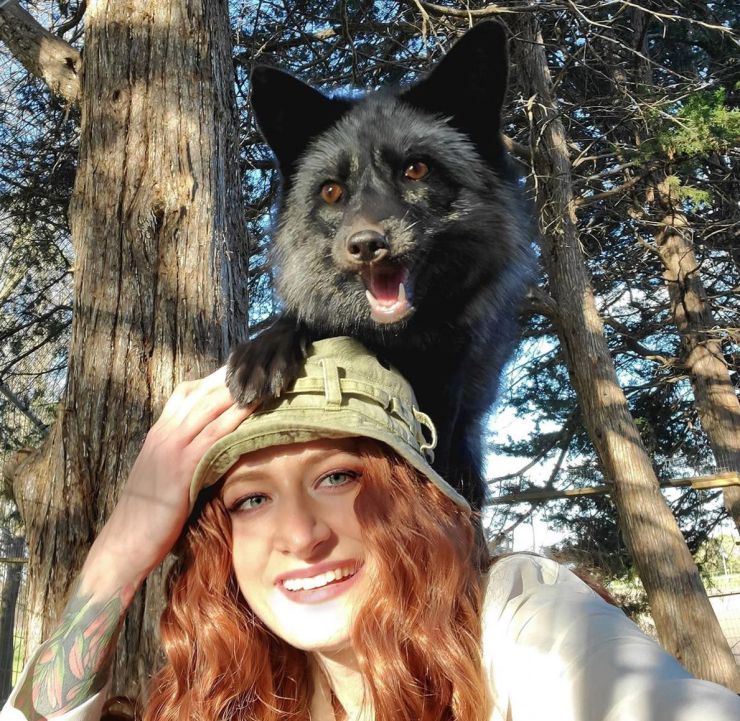 zobrazit detail snímku: Mikayla Raines a zachráněná liška ze SaveAFox.