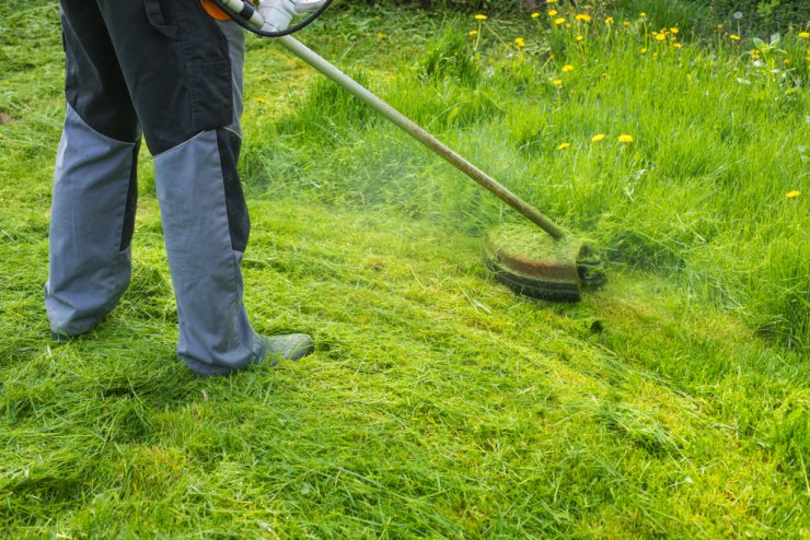 zobrazit detail snímku: Sekání vysoké trávy.
