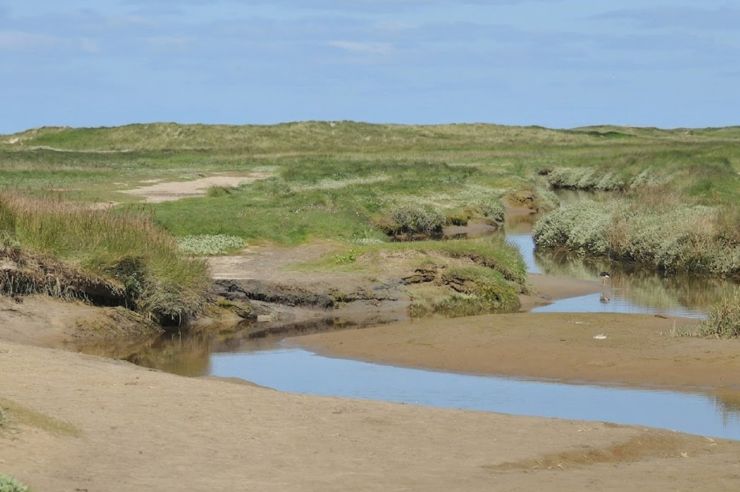 zobrazit detail snímku: Severní moře - De Slufter