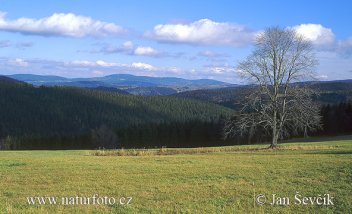 Šumava - klikněte pro zobrazení detailu