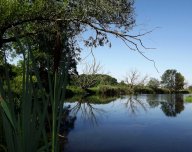 Přírodní rezervace Stibůrkovská jezera: V přírodě České republiky máme mnoho…