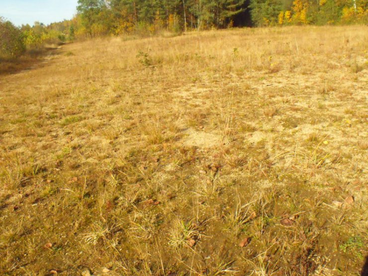 zobrazit detail snímku: Písčiny