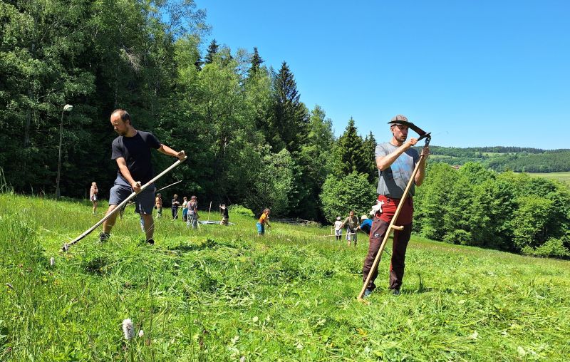 Olešenka na Sjezdovce U Žídků - klikněte pro zobrazení detailu Olešenka na Sjezdovce U Žídků - klikněte pro zobrazení detailu