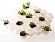 Zábavná recyklace - vaječné skořápky: Recyklaci nepotřebných výrobků a surovin…