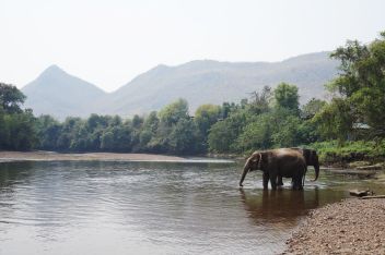 Exotika. - klikněte pro zobrazení detailu