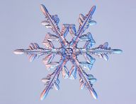 Sněhové vločky Sněhové vločky