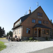 Jelenka