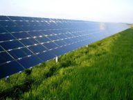 Pracují solární články efektivněji než rostliny? : Co myslíte? Jsou při výrobě energie…