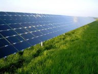Pracují solární články efektivněji než rostliny? : Co myslíte? Jsou při výrobě energie…