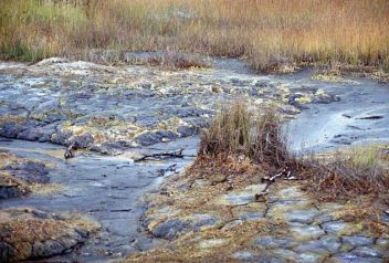 Rašeliniště - klikněte pro zobrazení detailu