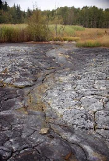 Okolí - klikněte pro zobrazení detailu