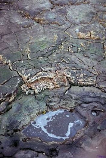 Tůně s probublávajícím ooxidem uhličitým - klikněte pro zobrazení detailu