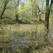 Nad dopisem Macinky Grolichovi. „CHKO Soutok není nutná“ Nad dopisem Macinky Grolichovi. „CHKO Soutok není nutná“