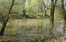 Nad dopisem Macinky Grolichovi. „CHKO Soutok není nutná“