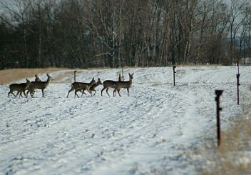 26.leden - klikněte pro zobrazení detailu 26.leden - klikněte pro zobrazení detailu