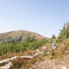 Pohled na Kotel ze Staré vozové cesty