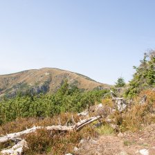 Pohled na Kotel ze Staré vozové cesty