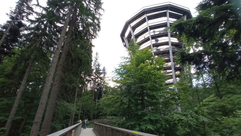 Stezka korunami stromů Krkonoše - klikněte pro zobrazení detailu